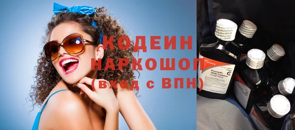 ГАЛЛЮЦИНОГЕННЫЕ ГРИБЫ Гусев