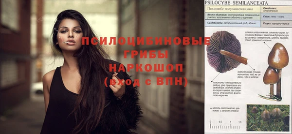 бутират Алексин