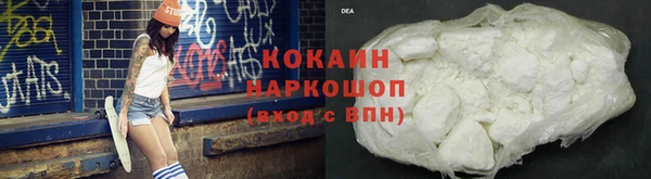 бошки Алзамай