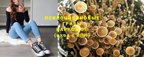 бутират Алексин