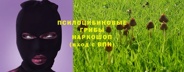 мет Абинск