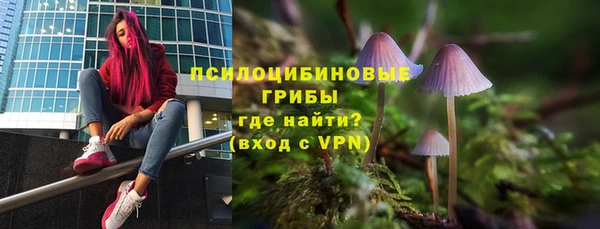 альфа пвп Гусиноозёрск