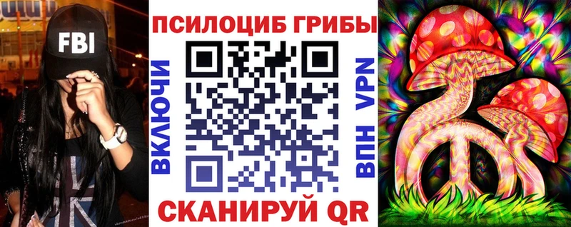 Псилоцибиновые грибы Cubensis  Тотьма 